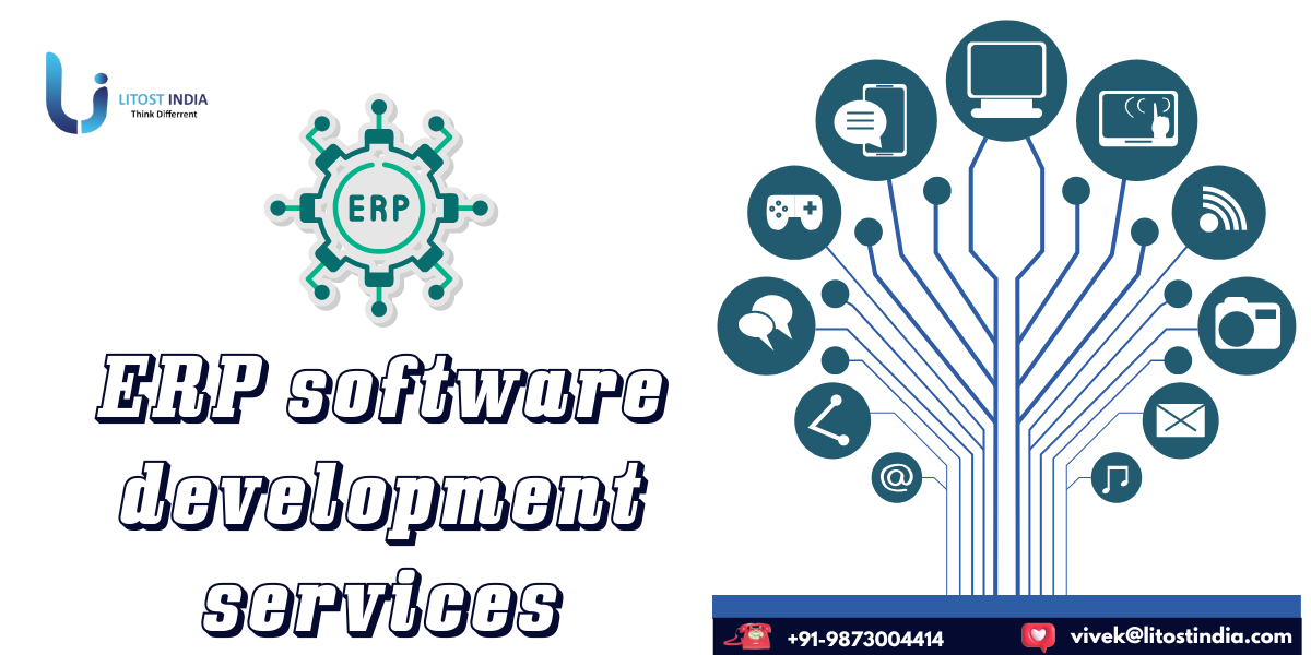 How ERP Software Development Services from Litost India Drive Business Growth