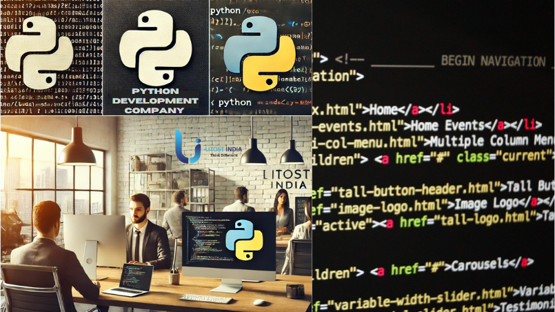 Top Benefits of Partnering with a Python Development Company in 2025